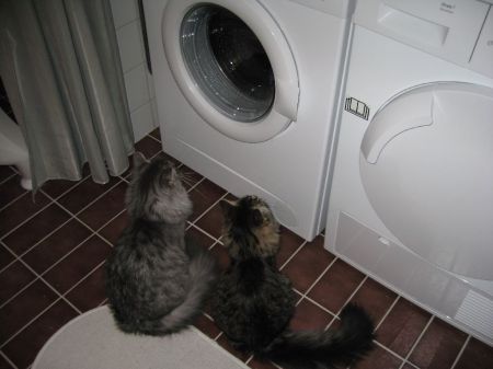Vi har kollat på tvättmaskinen.